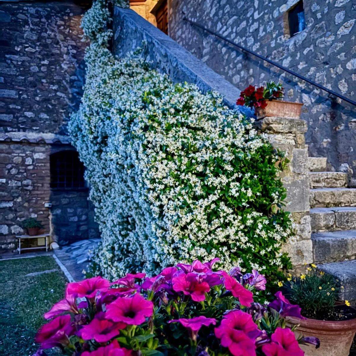 Bed and Breakfast Residenza Santa Maria In Borraccia à Magliano in Toscana Extérieur photo
